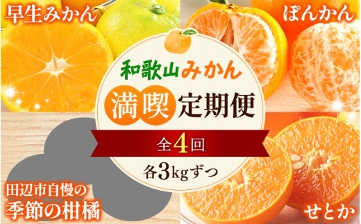 【全4回定期便】和歌山みかん満喫定期便 (早生みかん・ぽんかん・季節のお任せ柑橘・せとか各3kgずつ) ※2025年12月より4回お届け / みかん 定期便 柑橘 せとか フルーツ 早生みかん ミカン 和歌山 果物 田辺市 くだもの【tcs022-tk】