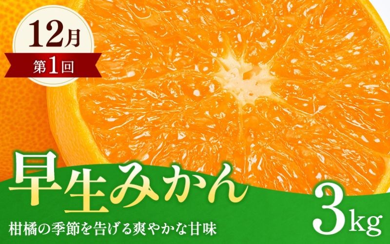 【全4回定期便】和歌山みかん満喫定期便 (早生みかん・ぽんかん・季節のお任せ柑橘・せとか各3kgずつ) ※2025年12月より4回お届け / みかん 定期便 柑橘 せとか フルーツ 早生みかん ミカン 和歌山 果物 田辺市 くだもの【tcs022-tk】
