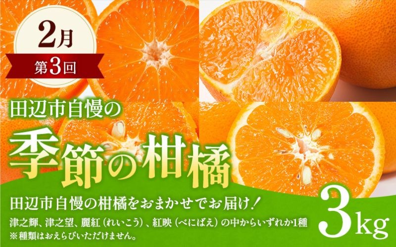 【全4回定期便】和歌山みかん満喫定期便 (早生みかん・ぽんかん・季節のお任せ柑橘・せとか各3kgずつ) ※2025年12月より4回お届け / みかん 定期便 柑橘 せとか フルーツ 早生みかん ミカン 和歌山 果物 田辺市 くだもの【tcs022-tk】