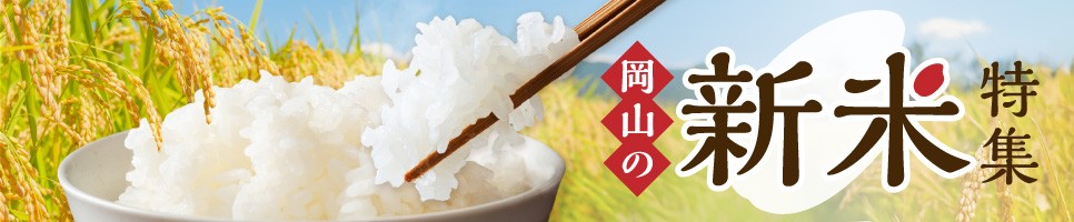 発芽玄米パンとおすすめベーグルセレクト【 ベーグル パン 自家製 酵母 発芽 玄米 もっちり オススメ 】