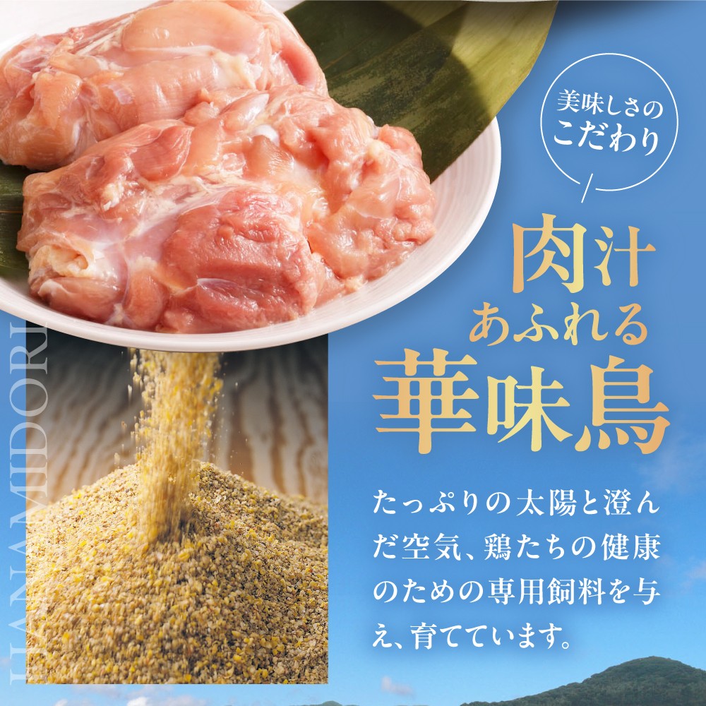 博多華味鳥　カレーセット（華味鳥・チキン・粗挽きキーマ）9食入り 愛媛県大洲市/トリゼンフーズ株式会社 カレー レトルト カレー インスタントカレー はなみどり [AGDT007]
