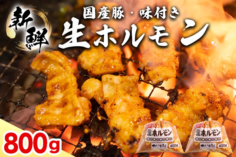 国産豚 味付き 生ホルモン 白(レバーなし) 800g (400g×2パック) (DV043)