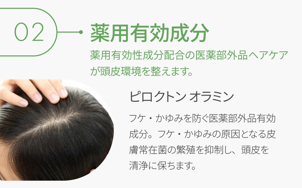 デミ シャンプー ビオーブ モイストスキャルプシャンプー 250mL DEMI 【福井市】［A-193003］/ ケア 髪 髪質 補修成分 ヘアケア デミ DEMI スカルプ スカルプケア 頭皮 頭皮ケア 炎症 エイジング フケ 薬用 血行促進 エイジングケア