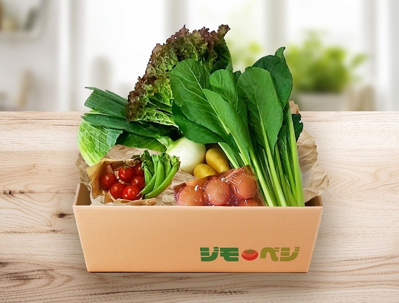 a23-038d　【定期便 全3回】ジモベジ 野菜 ハーフセット