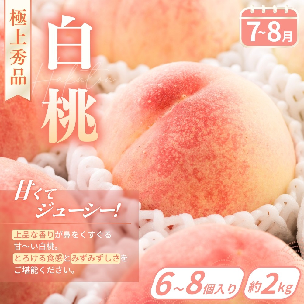 【フルーツ定期便・全3回】品質に自信あり!くしがきの里から直送 桃・シャインマスカット・まりひめを季節ごとにお届け! / 定期便 桃 もも シャインマスカット マスカット いちご イチゴ 苺 果物 フルーツ 3回【kgr037】