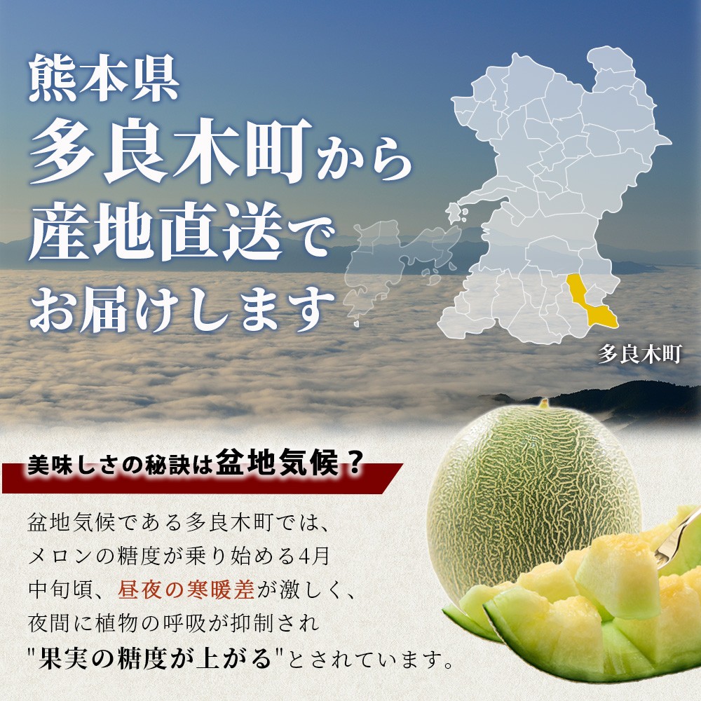 【2026年4月下旬〜順次発送 先行予約】肥後グリーンメロン 2玉〜4玉（約4kg以上）多良木町 熊本県 肥後グリーン メロン フルーツ 果物 期間限定 数量限定 108-0502