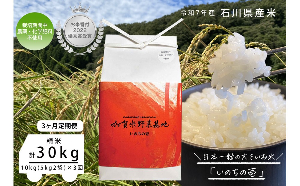 《令和7年産 新米》【3ヶ月定期便】【お米番付優秀賞受賞農家】日本一粒の大きいお米『いのちの壱』白米10kg×3回