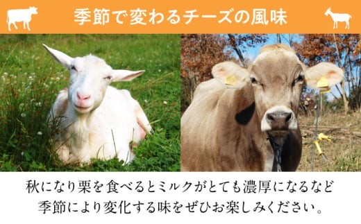 【全3回定期便】 ヨーグルト 三良坂フロマージュのヨーグルトセット3個入 無糖 ヨーグルト 生乳 100% 砂糖不使用 プレーン ヨーグルト 腸活 乳製品 定期便 グラスフェッド 牛乳 ミルク デザート スイーツ お菓子 おやつ 食品 無糖 詰め合わせ 贈答 ギフト 特産品 産地直送 取り寄せ お取り寄せ 美容 健康 朝食 濃厚 みよし 広島 三次市/三良坂フロマージュ [APAV007]