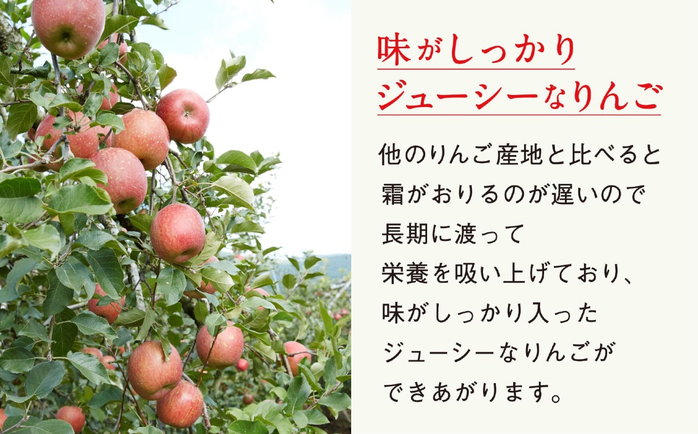 【旬のりんごをお届け!】 米崎りんご 約3kg 品種おまかせ ★大和田果樹園★ 【 数量限定 リンゴ 林檎 りんご 9月 10月 11月 12月 青林 王林 ジョナゴールド シナノスイート 等  岩手 陸前高田 産地直送 新鮮 アップル 家庭用 】RT670-OK