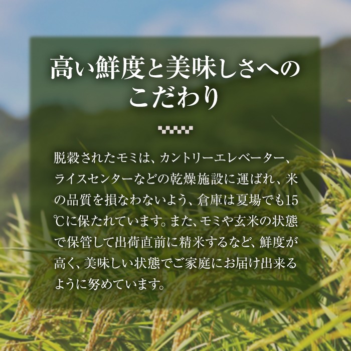 <先行予約受付中!2025年10月に順次発送予定・数量限定>JAよりお届け!福岡県産米 元気つくし (計5kg)お米 おこめ 米 こめ コメ 白米 福岡県産 ブランド米 常温 常温保存【ksg1813】【農産物直売所ほたるの里】