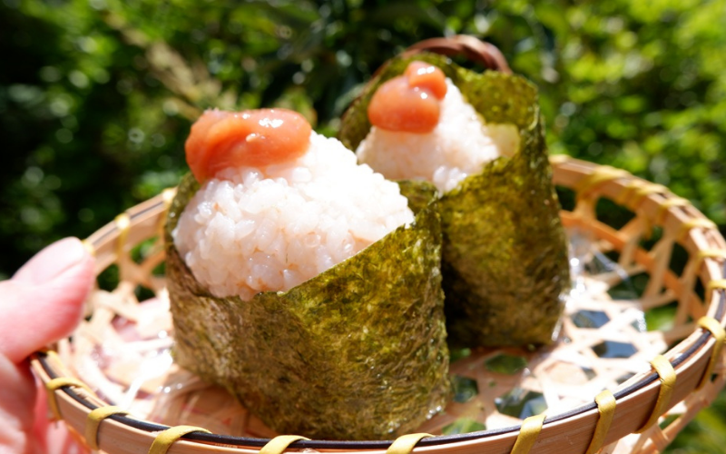 白干しねり梅 180g 塩分20% 添加物不使用 / 梅 うめ ウメ  梅干し 梅干 白干し 南高梅 紀州南高梅 和歌山県 田辺市 【aoi019】