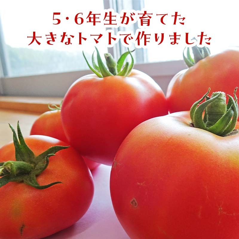 【期間限定】【稲田学園×ふるさと納税】小学生が作りました!アフガニスタンにランドセルを贈る!稲田っ子ブランドドライトマト80g(10g×8袋)トマト とまと ドライトマト スープ 乾物 加工品 長もち おつまみ 須賀川産 F7X-0623