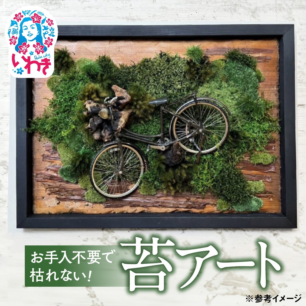 苔アート | 苔 アート インテリア 壁掛け おしゃれ モスアート グリーンアート 室内緑化 癒し 観賞用 手入れ不要 長持ち プリザーブド 新築祝い 開店祝い ギフト プレゼント 人気 送料無料 | DE025