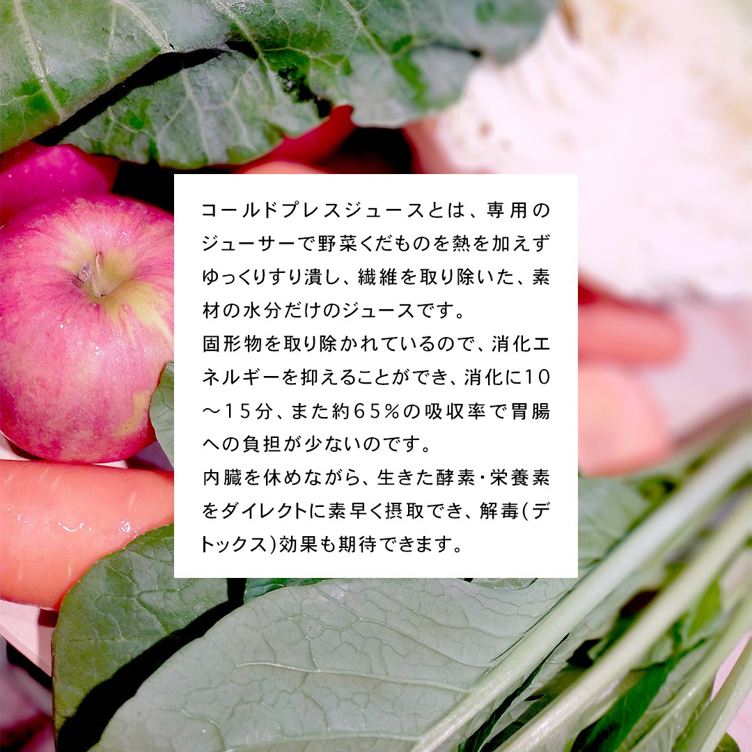 【定期便 全６回】野菜と果物の コールドプレスジュース ＧＲＥＥＮ ＧＡＲＤＥＮ 200ml × 6本セット 酵素ドリンク ライフスタイル 健康 美容 野菜 果物 新鮮 特別栽培 SDGs ジュース 冷凍