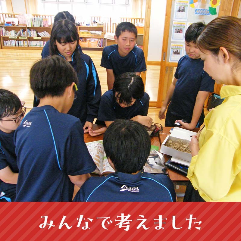 【期間限定】【稲田学園×ふるさと納税】小学生が作りました!アフガニスタンにランドセルを贈る!稲田っ子ブランドドライトマト80g(10g×8袋)トマト とまと ドライトマト スープ 乾物 加工品 長もち おつまみ 須賀川産 F7X-0623
