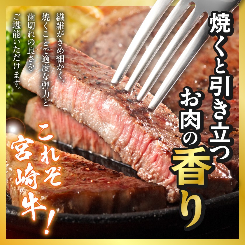 宮崎牛サーロインステーキ200g×2枚_18-4201_(都城市) ステーキ 牛肉 宮崎牛 和牛 国産 サーロイン 赤身