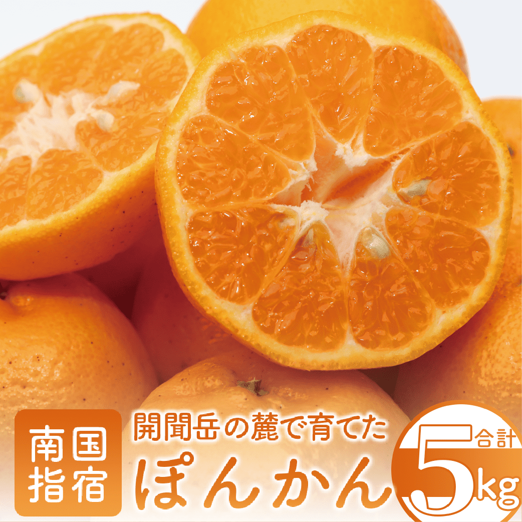 【2025年12月中旬~発送】開聞岳の麓で育てたぽんかん約5kg(迫田果樹園/A-293) 鹿児島県 ぽんかん ポンカン みかん フルーツ 柑橘 旬 果物 いぶすき 指宿 開聞 完熟 果実 春 露地栽培 ご家庭用