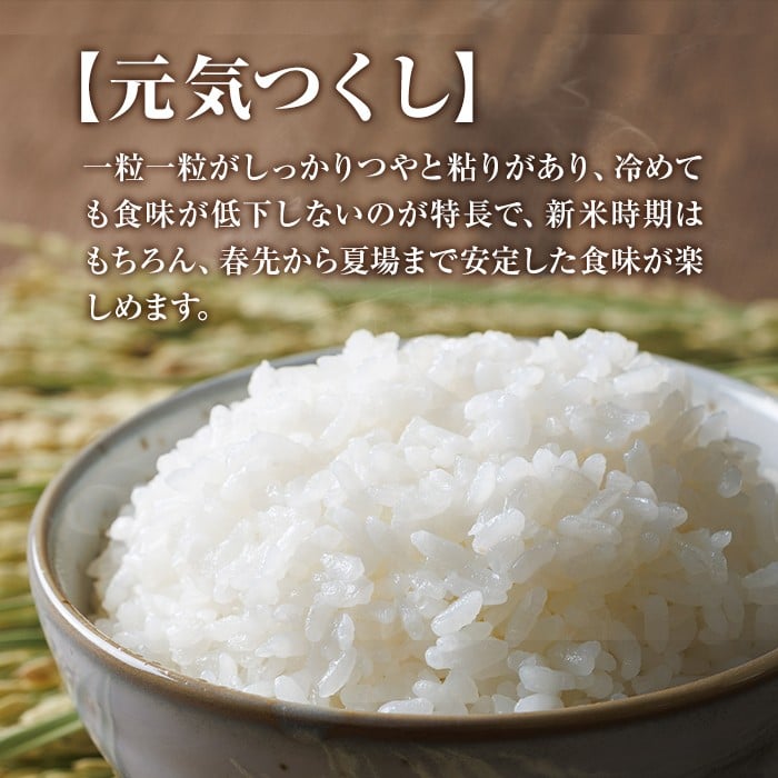 <先行予約受付中!2025年10月に順次発送予定・数量限定>JAよりお届け!福岡県産米 元気つくし (計5kg)お米 おこめ 米 こめ コメ 白米 福岡県産 ブランド米 常温 常温保存【ksg1813】【農産物直売所ほたるの里】