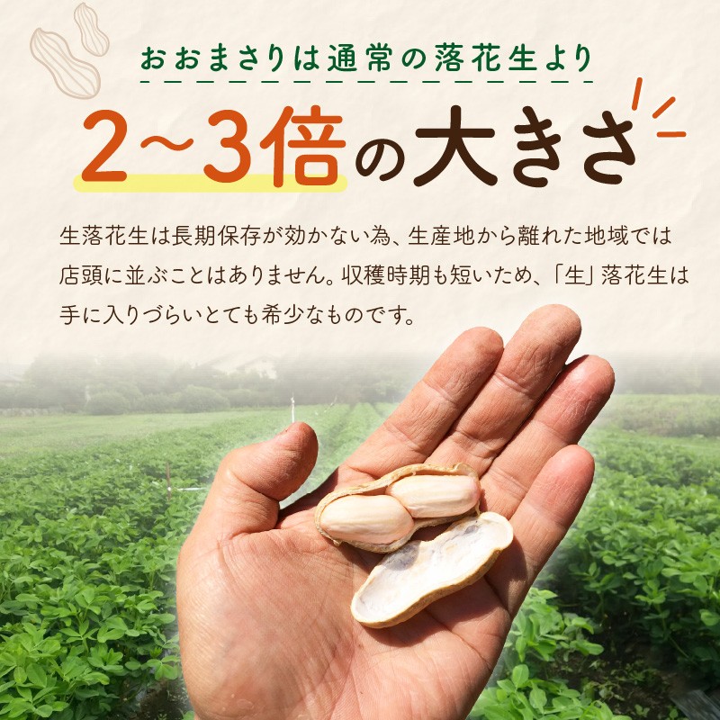 【先行予約/数量限定10】農家直送 令和8年お正月セット 野菜 しめ縄 オリジナル 栽培期間中農薬不使用 有機肥料 黒豆 くろまめ 小豆 あずき 大根 だいこん 人参 にんじん お正月準備 年越し おせち 料理 手作り 和食 年末 送料無料  SJ00009