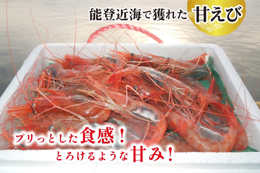 【能登半島 漁協直送！】活〆 甘エビ 50尾 [JF西海 石川県 志賀町 AM4232] エビ 味噌 アヒージョ 殻ごと