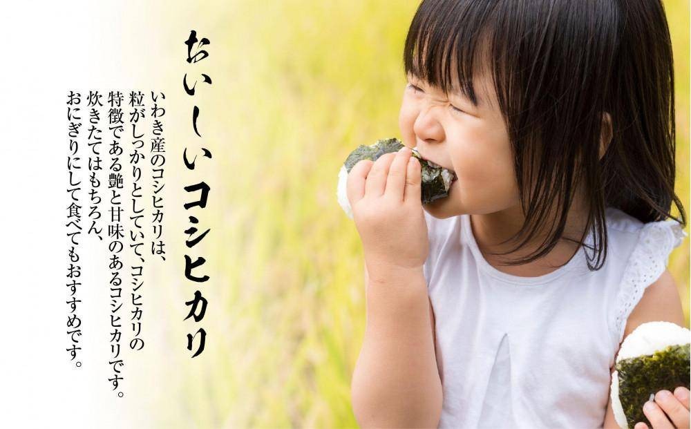 【契約農家直接仕入れ米10kg】福島県いわき市産「コシヒカリ」精米2kg×5袋 令和7年産 （おいしい炊き方ガイド付き） | 福島県産米 いわき市産米 東北 南東北 米どころ コシヒカリ 白米 精米済み 生米 契約農家直送 萬屋米店 炊きたて おにぎりにおすすめ ふるさと納税 福島米 粘りと甘み 冷めても美味しい | BB106