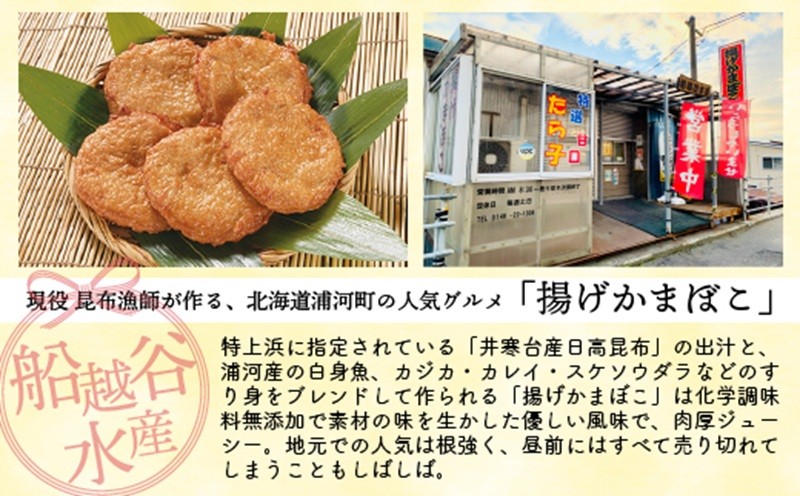 船越谷水産自慢の「揚げかまぼこ」20個入り[42-1120]