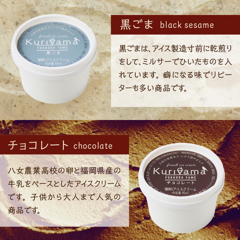 くりやまアイス10個おまかせセット 各90ml アイスクリーム 酪農家 手作り 地元産 お茶 フルーツ 身体に優しい 笑顔 幸せ
