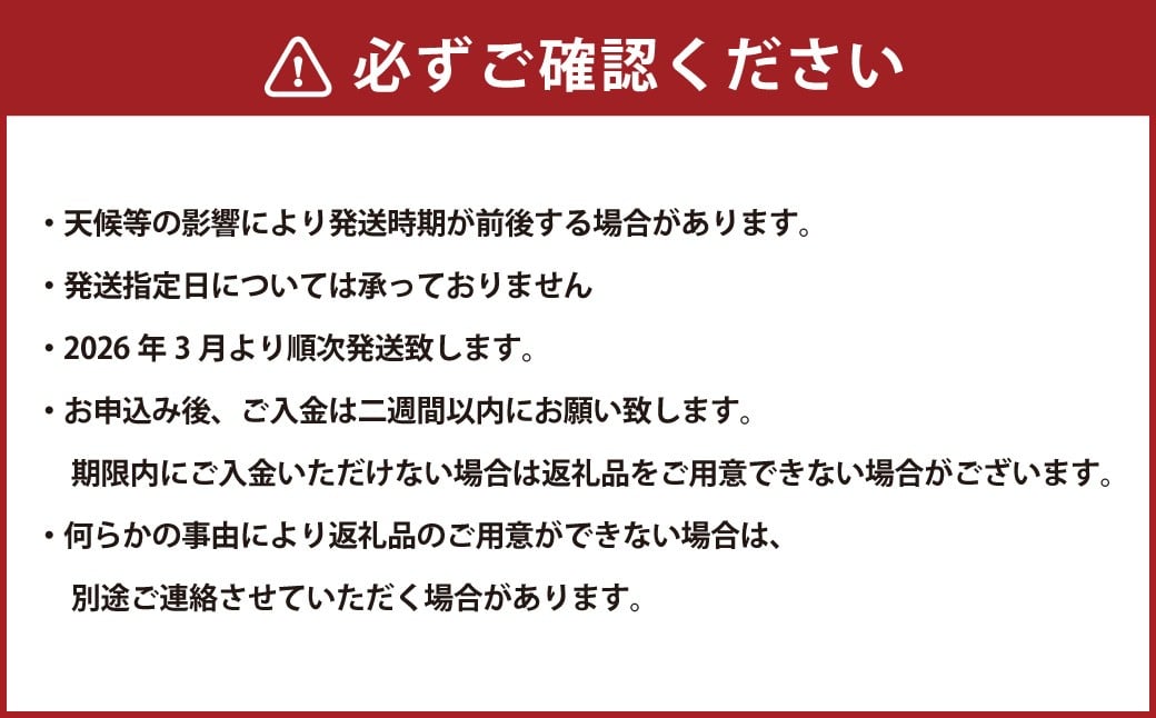 熊本フルーツ定期便3回(3月.4月.5月)【2026年3月上旬~5月下旬迄順次発送予定】 フルーツ 果物 メロン すいか 不知火 ギフト 贈答 定期便 定期 熊本産