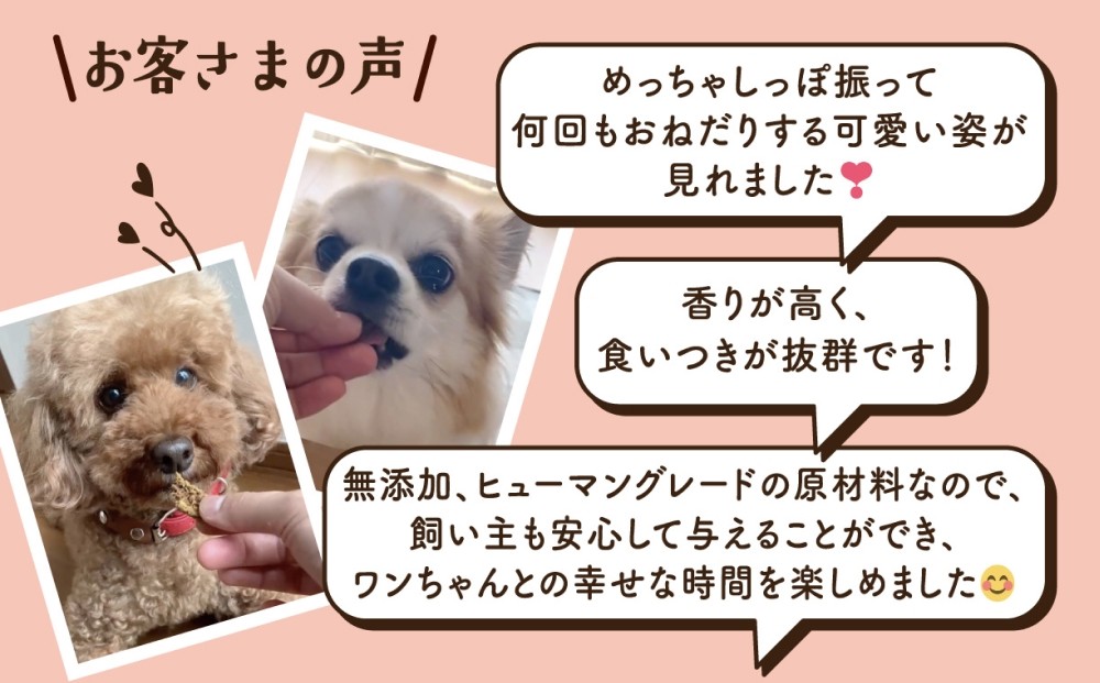 ワンちゃんのおやつ お試しセット