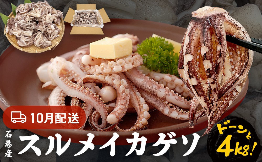 いか 〈 訳あり 〉10月配送 宮城県産 スルメイカ ゲソ 4kg 冷凍 国産 スルメイカ いか 下足 イカ イカゲソ カルパッチョ おつまみ 魚介類 焼イカ イカ料理 バーベキュー BBQ わけあり 不揃い 烏賊 炒め物 フライ ゲソ天 唐揚げ 石巻 宮城
