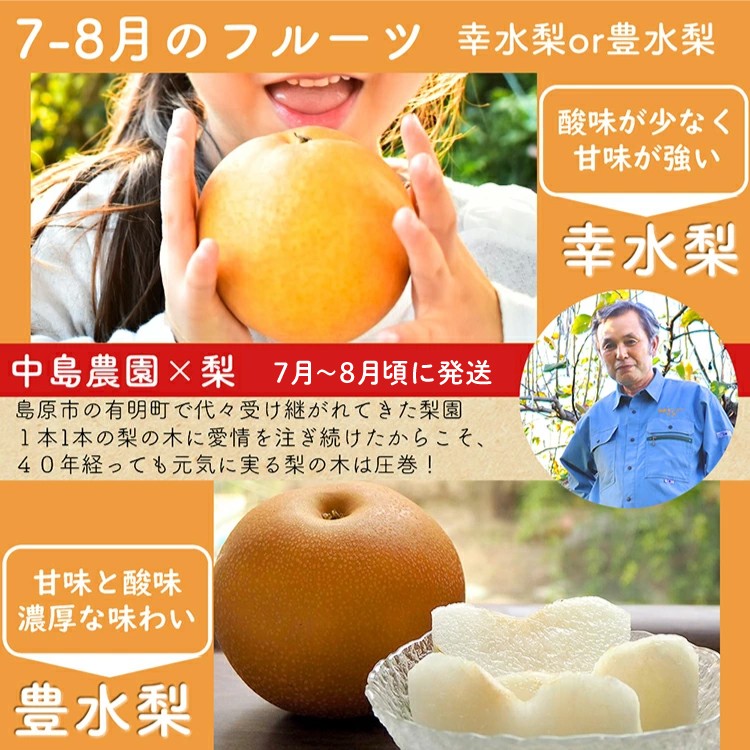 CH106 【令和8年度出荷分】【春～夏季】フルーツ定期便（全4回） ハウスびわ 小玉スイカ 小玉メロン 梨 [ 果物 フルーツ びわ すいか メロン ナシ 長崎県 島原市 ]