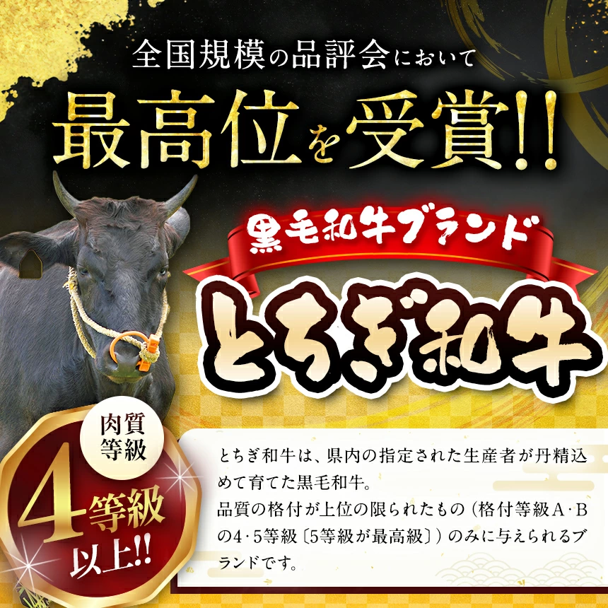 【定期便6回】宮福笑牛(とちぎ和牛) A5 サーロインステーキ 約200gx3枚  | 牛肉 和牛 ステーキ  定期便 サーロイン ステーキ ステーキ用 旨味 美味しい 肉 お肉  栃木県共通返礼品 栃木県 真岡市
