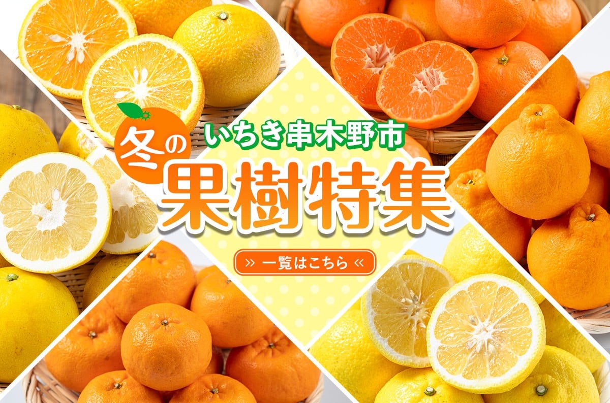 <先行予約>\数量・期間限定/本格貯蔵 ぽんかん 薩州薩摩 約5kg  糖度12度以上 クエン酸0.9%以下 カラーチャート9以上 の厳しい基準をクリアしたブランド品 産地直送 化粧箱【A-2021H】