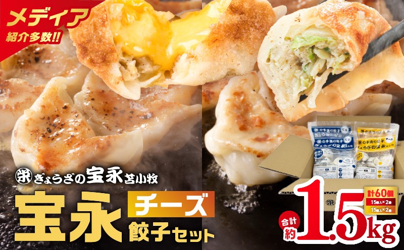 ぎょうざの宝永 チーズ餃子セット（宝永餃子 15個入×2袋＆チーズ餃子 15個入×2袋）合計1.5kg　T004-002