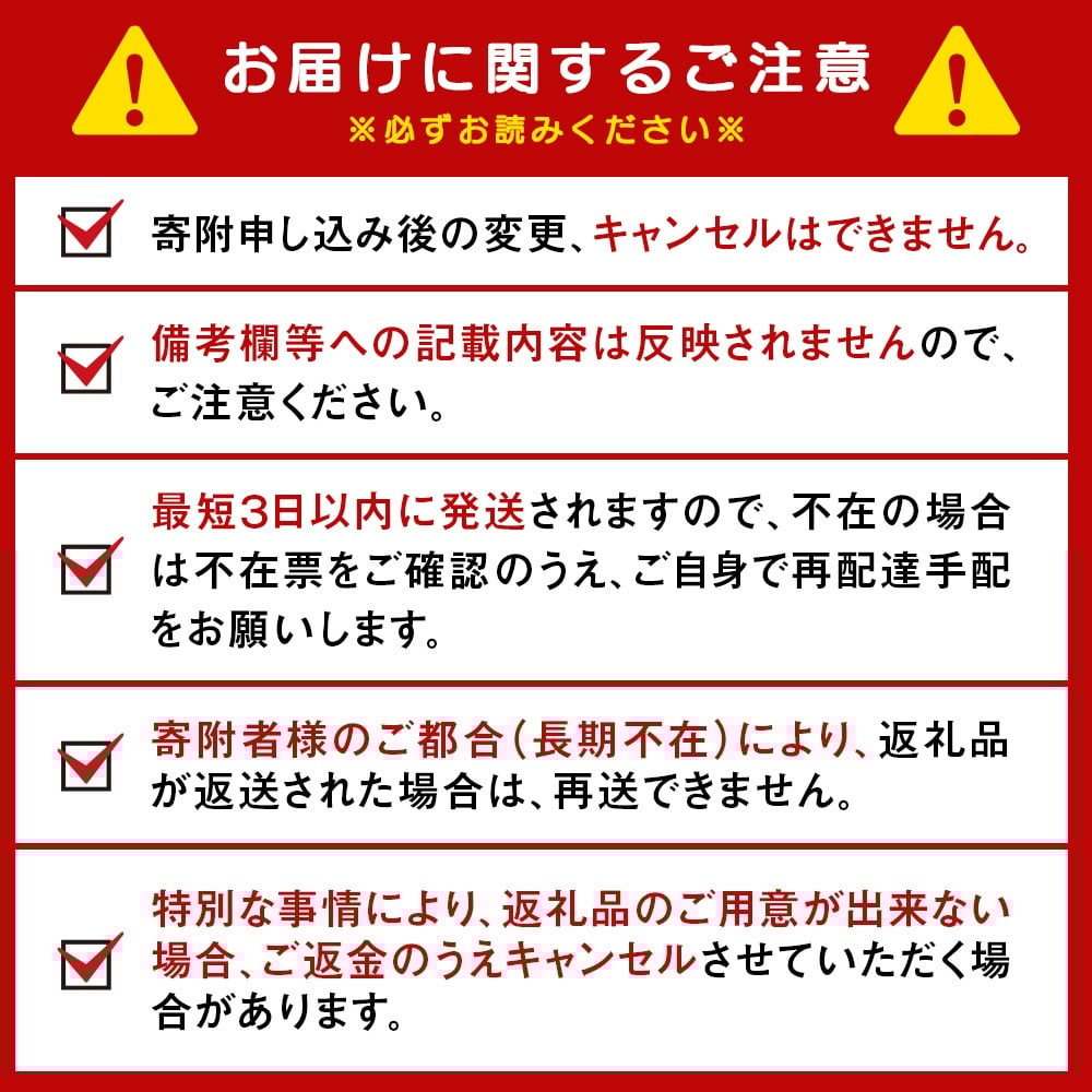 【定期便5ヶ月】キリンラガービール 500ml(24本)<北海道千歳工場産>