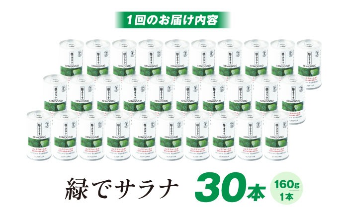 【定期便3回】サンスター 緑でサラナ 30本セット 160g 野菜ジュース 青汁 サラナ 缶 ケース まとめ買い 健康 特定保健用食品 トクホ コレステロール 保存料不使用 無添加 国産 長期保存 常温 防災 ギフト 定期便 健康習慣 野菜不足解消 コレステロールを下げる 特定保健用食品 トクホ ドリンク 飲料 健康ドリンク ケース販売 備蓄 大阪府高槻市/サンスター[AOAD005]