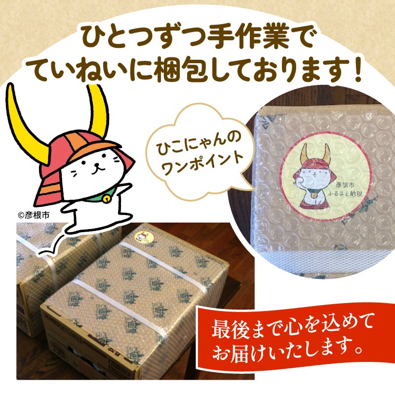 午後の紅茶 おいしい無糖 6ヵ月定期便 500ml × 24本 紅茶 午後ティー 無糖 ストレート ストレートティー ドリンク 飲料 飲み物 ソフトドリンク ケース 500 24 6回 6ヶ月 ペットボトル キリン ペット PET KIRIN 麒麟 滋賀 彦根