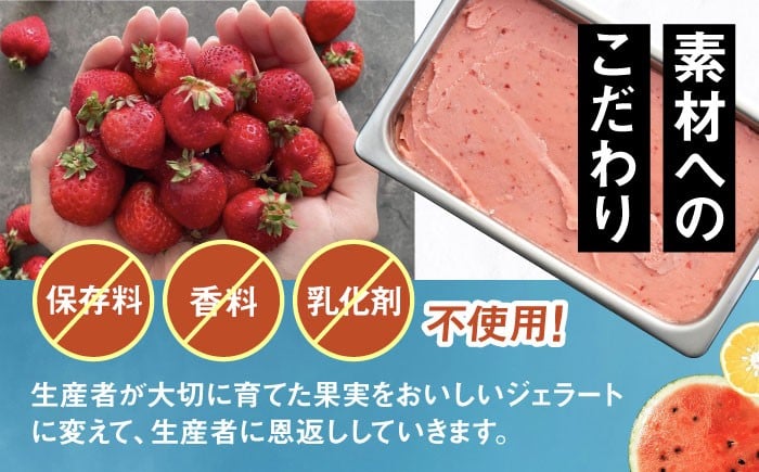 【全6回定期便】行列のできる アイスクリーム 屋 ジェラート 10個（定番5種×各2個） アイス 食べ比べ ギフト スイーツ プレゼント 糸島 / LoiterMarket ロイターマーケット [AGD018]