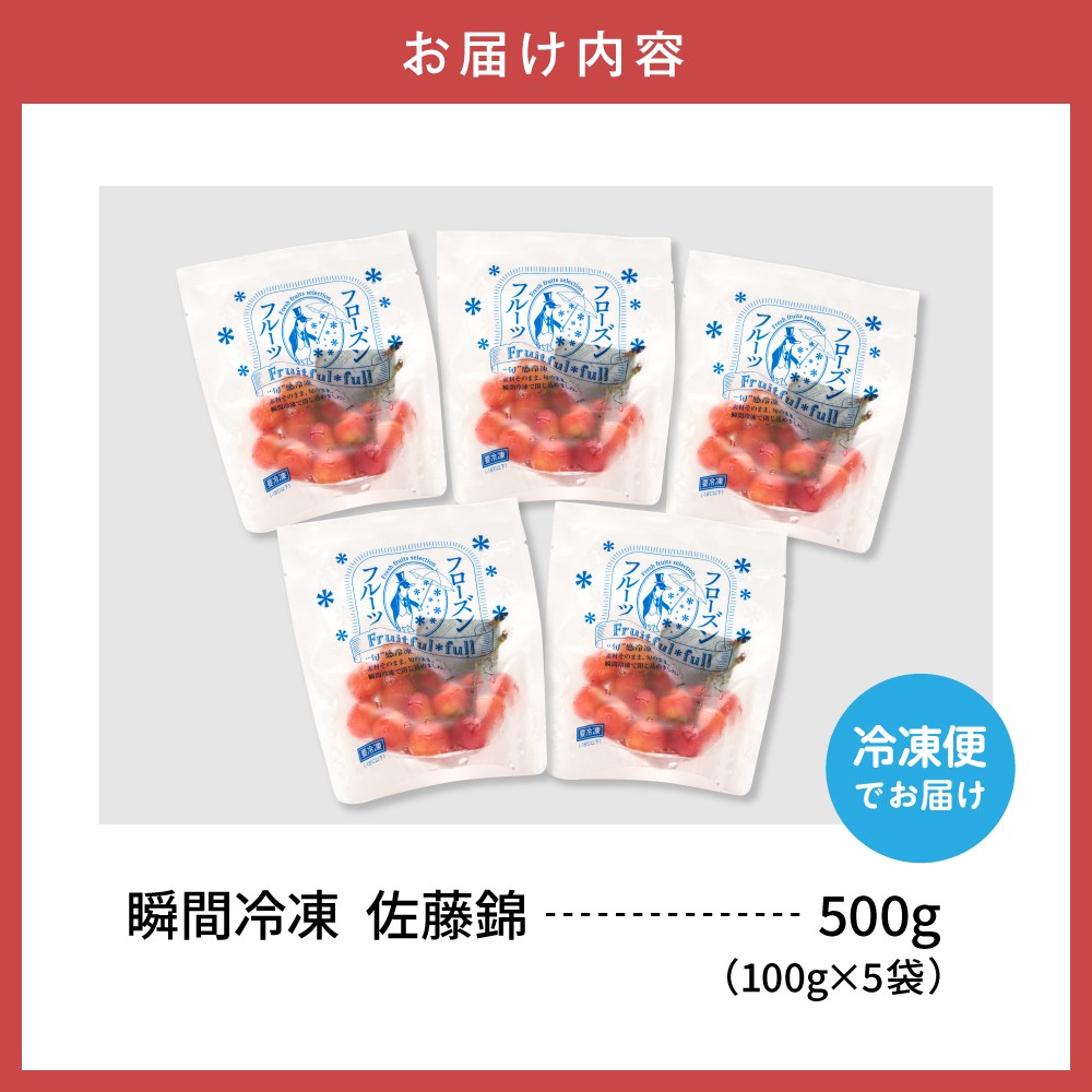 【瞬間冷凍】東根市産さくらんぼ 100g×5袋 東根農産センター提供 hi027-244