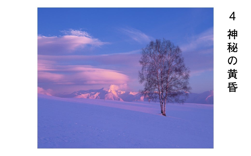 前田真三 額付き写真（黒額） キャビネサイズ[040-19]