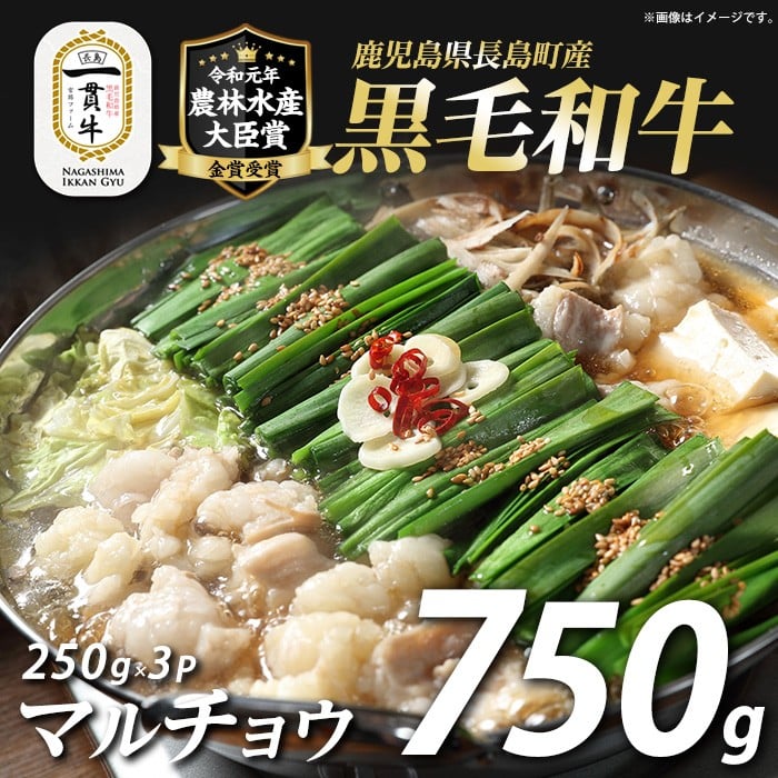 和牛カット済ホルモン(マルチョウ)250g×3パック 計750g ホルモン 牛肉 丸腸 焼肉 ホルモン 牛もつ もつ鍋 f-miyaji-6049