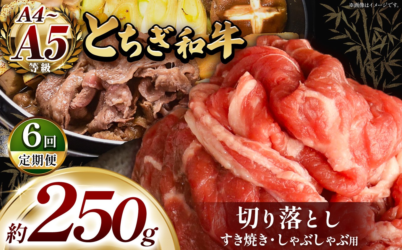  訳あり【定期便6回】とちぎ和牛 すき焼き・しゃぶしゃぶ用 切り落とし 250g | 栃木県共通返礼品 ご褒美 プレゼント 贈答 おいしい 和牛 肉 おにく 特別 人気 お取り寄せ 栃木県 真岡市
