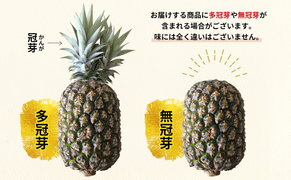 あいこ農園のゴールドバレル　2玉（約3.6kg）多冠芽・無冠芽含む 2026年発送 沖縄県産 東村 パイナップル ジューシー 希少 高級フルーツ 南国フルーツ 国産フルーツ 農家直送 パイン 果物 贈り物 おすすめ お土産 人気 やんばる 大自然 南国気分 沖縄本島北部