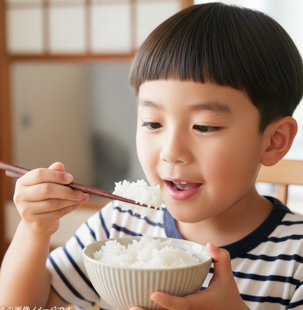令和7年産 茨城県産 玄米 コシヒカリ 5kg (5kg×1袋) 清米 キヨシマイ こしひかり 米 コメ こめ 単一米 限定 茨城県産 国産 美味しい お米 おこめ おコメ