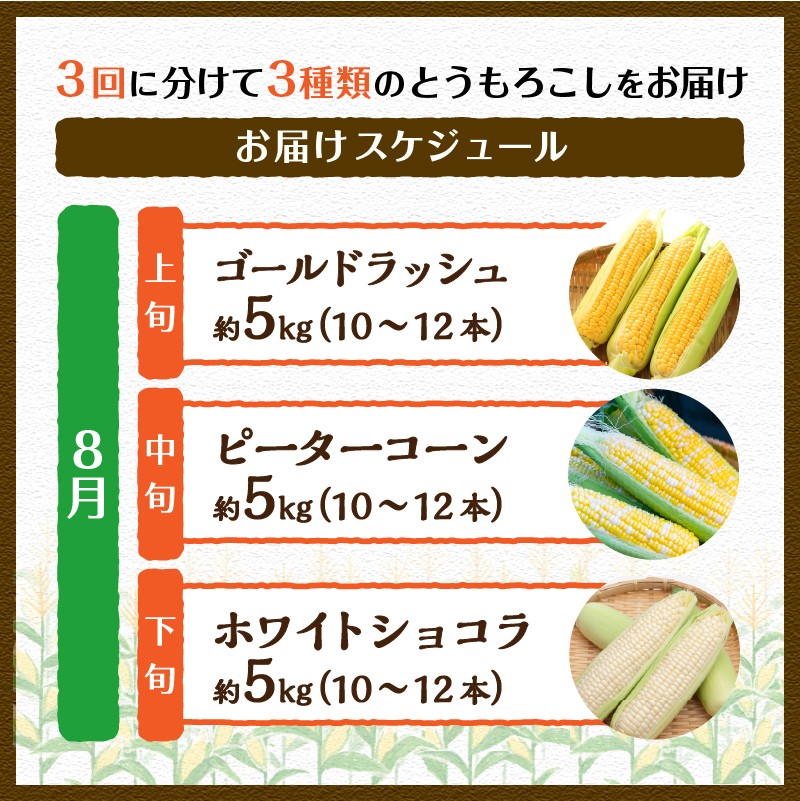 ＼＼★セレクト定期便(月3回お届け)★ 2026年先行予約／／ 富士北麓忍野村の気候、水、自然で作られた朝採りトウモロコシ（セレクト便）《約5kg 10～12本》