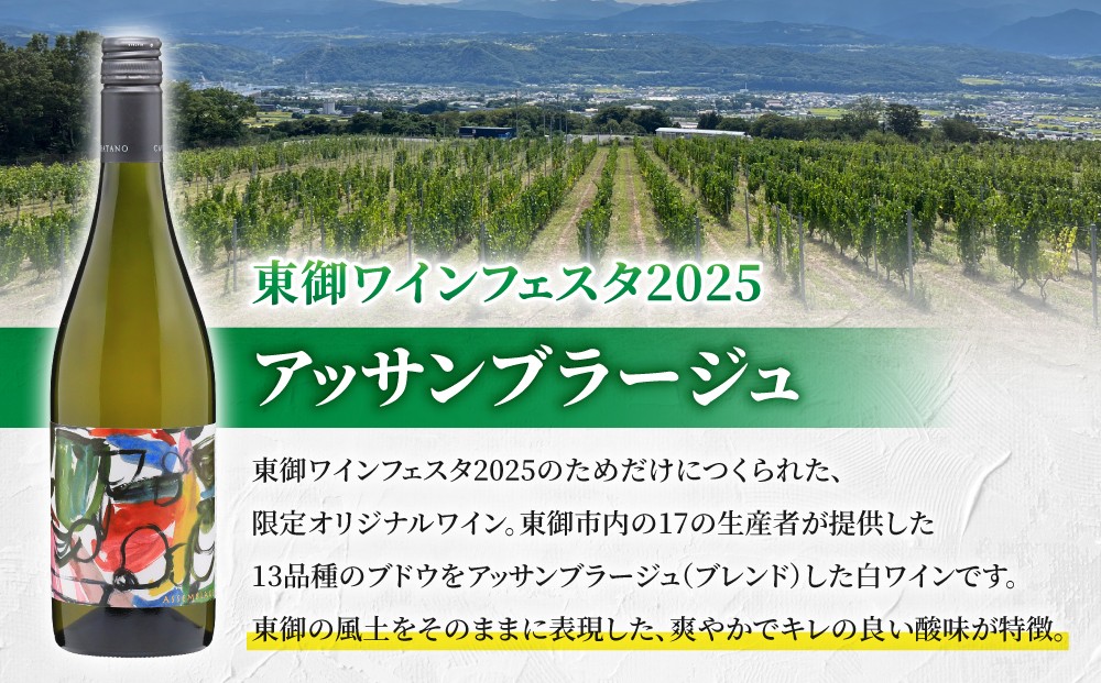 【幻の限定ワイン】「東御ワインフェスタ2025」オリジナルワイン｜アッサンブラージュ Assemblage（フルボトル750ml 1本）