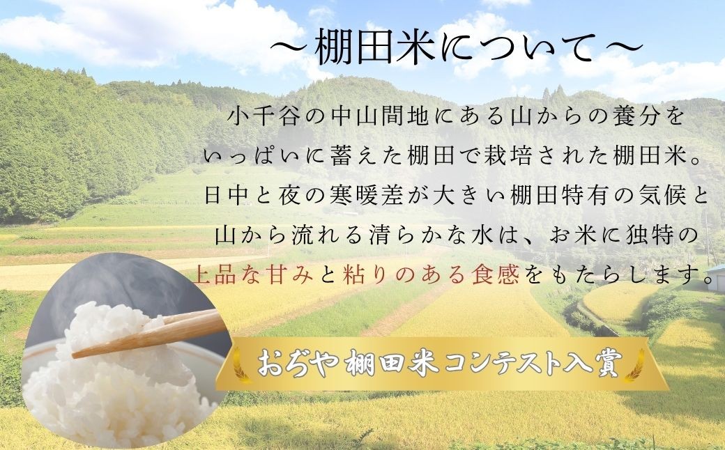 【コシヒカリ】 令和7年産 魚沼産コシヒカリ ブランド認証米「錦の実り」特Aランクと棚田米 食べ比べ10kg(5kg2袋)  10キロ 10キログラム | 新潟県産コシヒカリ お米 米 こしひかり 白米 精米 ブランド米【0002-0396-02】