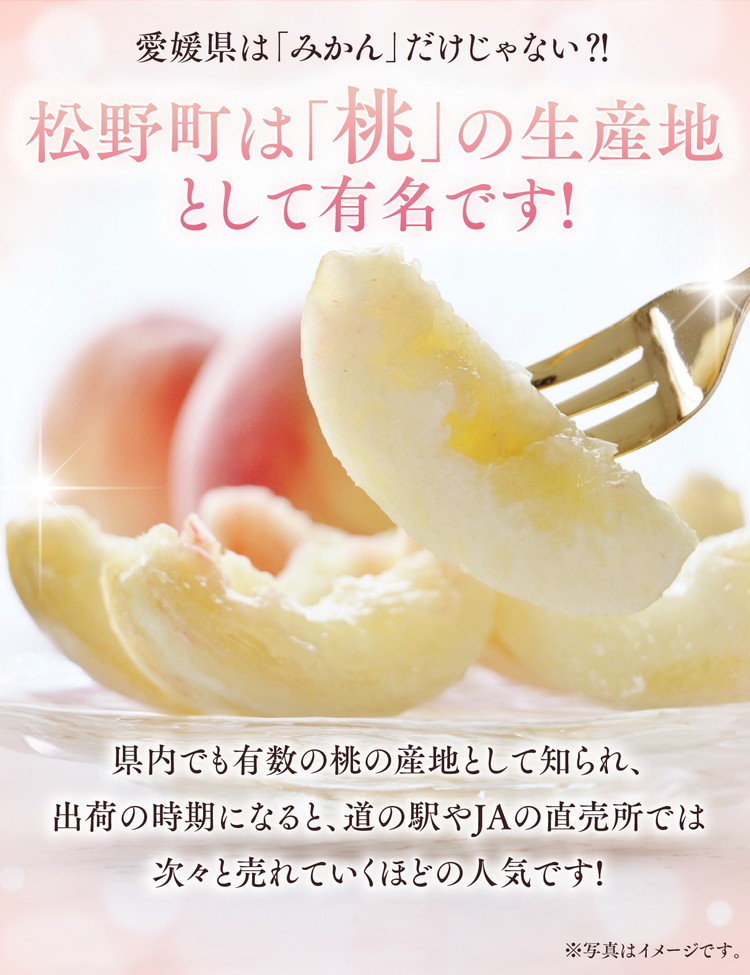 【2026年出荷分先行予約】愛媛の桃どころ 「綱崎農園」から届ける中玉桃  約3.5kg ｜ ふるさと納税 桃 冷蔵 松野町 フルーツ ギフト ※北海道・沖縄・離島への配送不可 ※2026年6月中旬～8月中旬もしくは下旬頃に順次発送予定