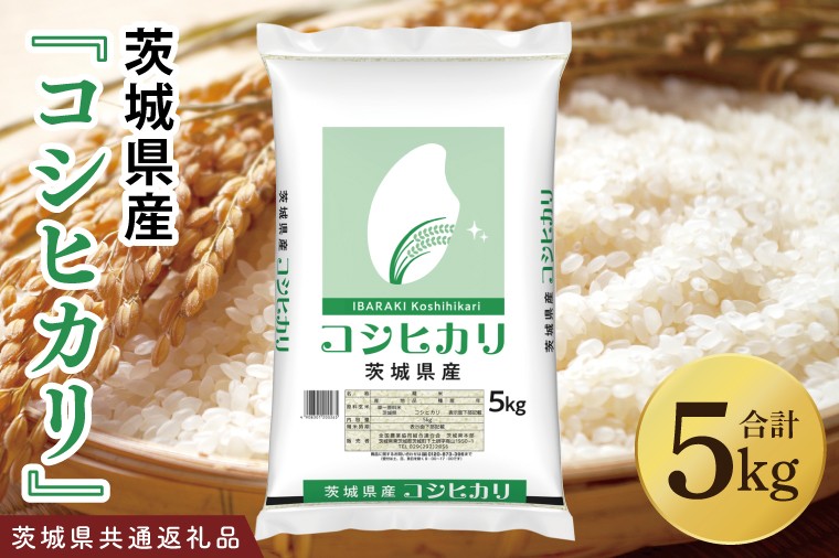 【茨城県共通返礼品】令和7年産 茨城県産 コシヒカリ5kg【お米 米 こしひかり ごはん 茨城県】(03-48-1)