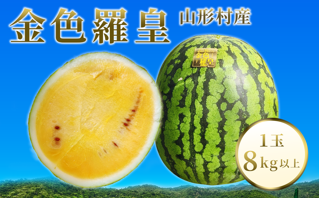 山形村産 金色羅皇 1玉（9kg以上）中川農園 3209
